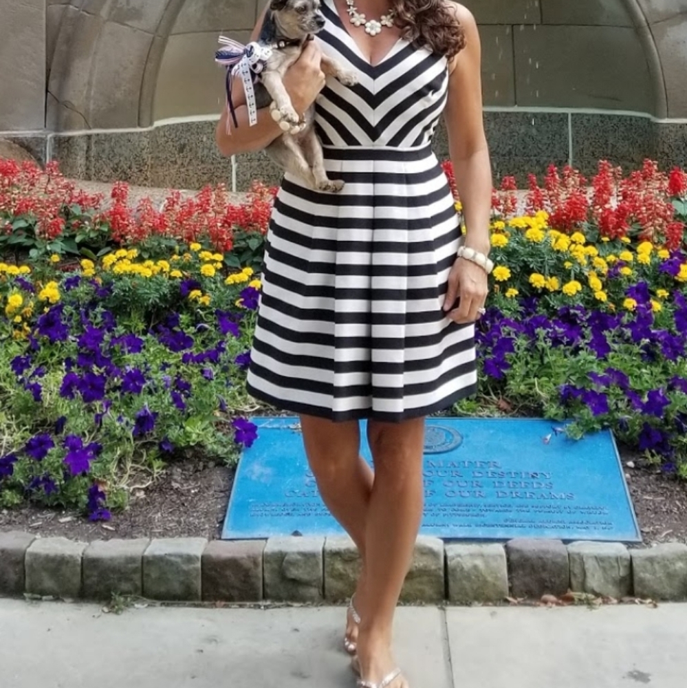 Banana Republic stripe dress fit n flare 2P